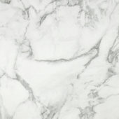 Arabescato Verona Polished 24X24 | Arley Wholesale