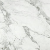 Arabescato Verona Polished 24X24 | Arley Wholesale