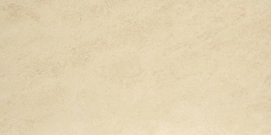 Polished Affection 12X24 | Arley Wholesale