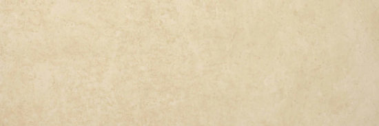 Polished Affection 4X12 | Arley Wholesale