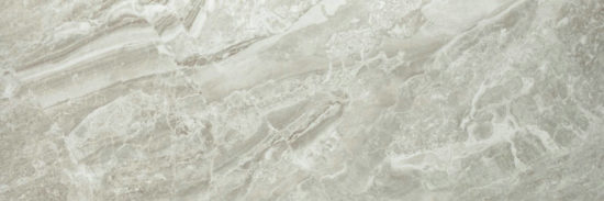 Polished Inspiration 4X12 | Arley Wholesale