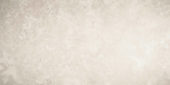 Sabbia 12X24 | Arley Wholesale