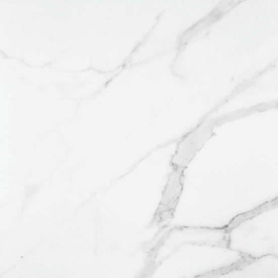 Statuario Venezia Polished 24X24 | Qualis Ceramica | Luxury Tile and Vinyl at affordable prices