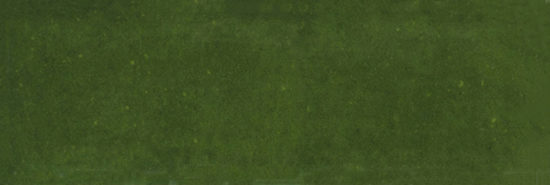 Barcelona 2x6" Olive | Qualis Ceramica | Luxury Tile and Vinyl at affordable prices