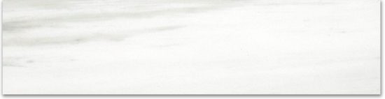 Matte 3X12 Devotion Bullnose | Qualis Ceramica | Luxury Tile and Vinyl at affordable prices