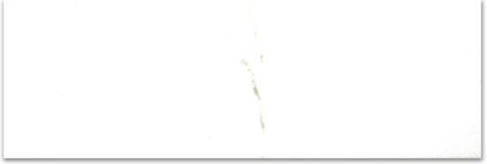 Polished Adoration 4X12 | Qualis Ceramica | Luxury Tile and Vinyl at affordable prices