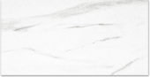 Polished Infatuation 24X48 | Qualis Ceramica | Luxury Tile and Vinyl at affordable prices
