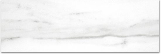 Polished Infatuation 4X12 | Qualis Ceramica | Luxury Tile and Vinyl at affordable prices