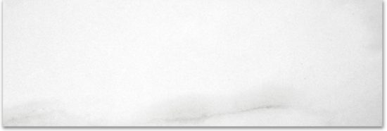 Polished Infatuation 4X12 | Qualis Ceramica | Luxury Tile and Vinyl at affordable prices
