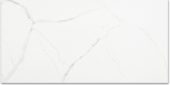 Polished Love 12X24 | Qualis Ceramica | Luxury Tile and Vinyl at affordable prices