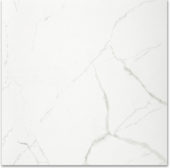 Polished Love 24X24 | Qualis Ceramica | Luxury Tile and Vinyl at affordable prices