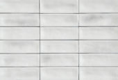 Aruba White Gloss 2x6 | Qualis Ceramica | Luxury Tile and Vinyl at affordable prices