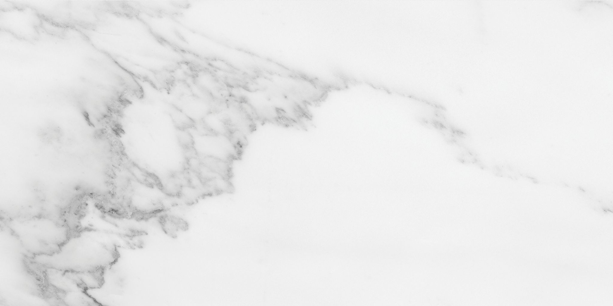 Florence 12X24F Bianco Texture | Qualis Ceramica | Luxury Tile and Vinyl at affordable prices