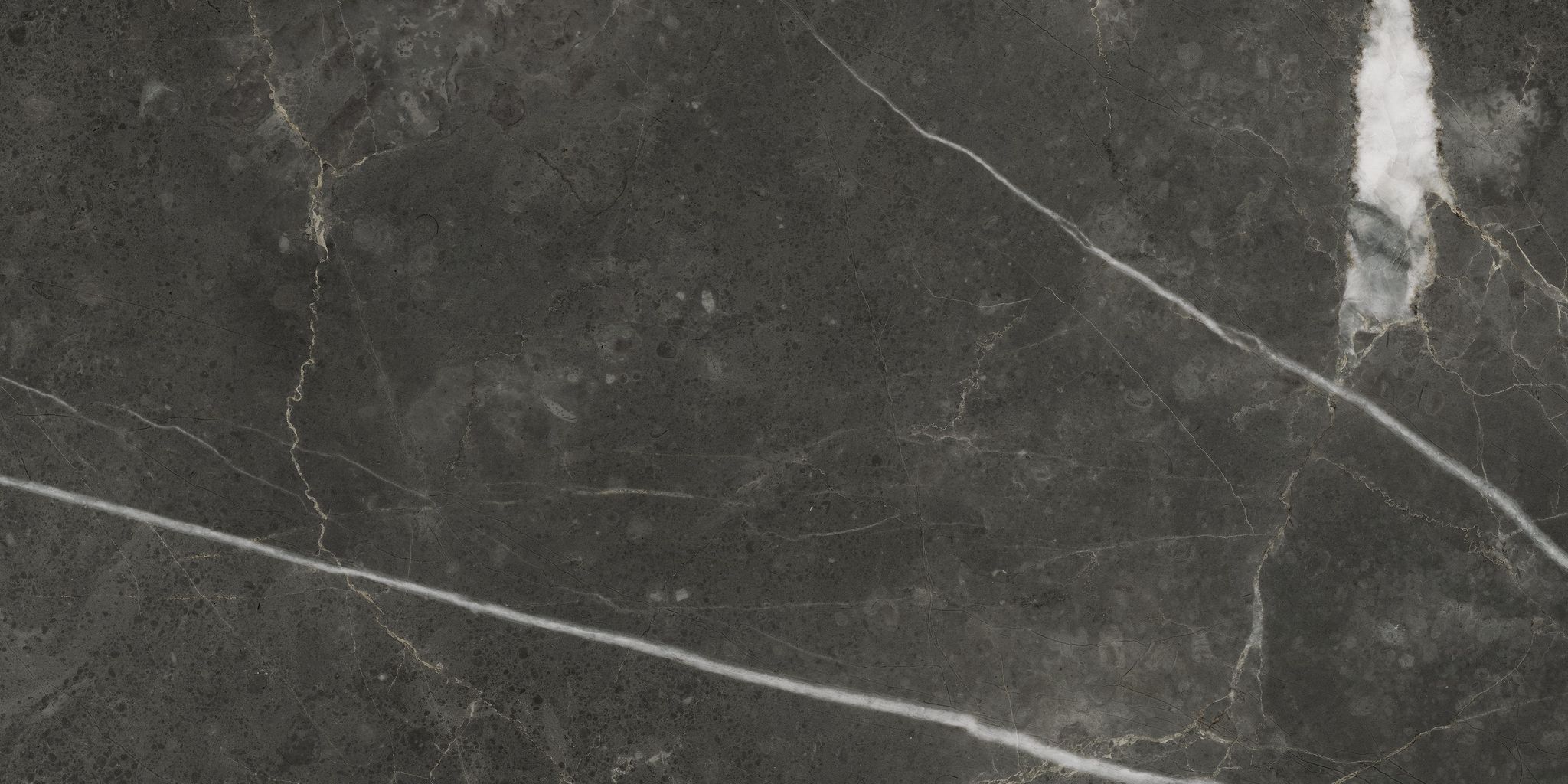 Florence 12X24F Carbon Texture | Qualis Ceramica | Luxury Tile and Vinyl at affordable prices