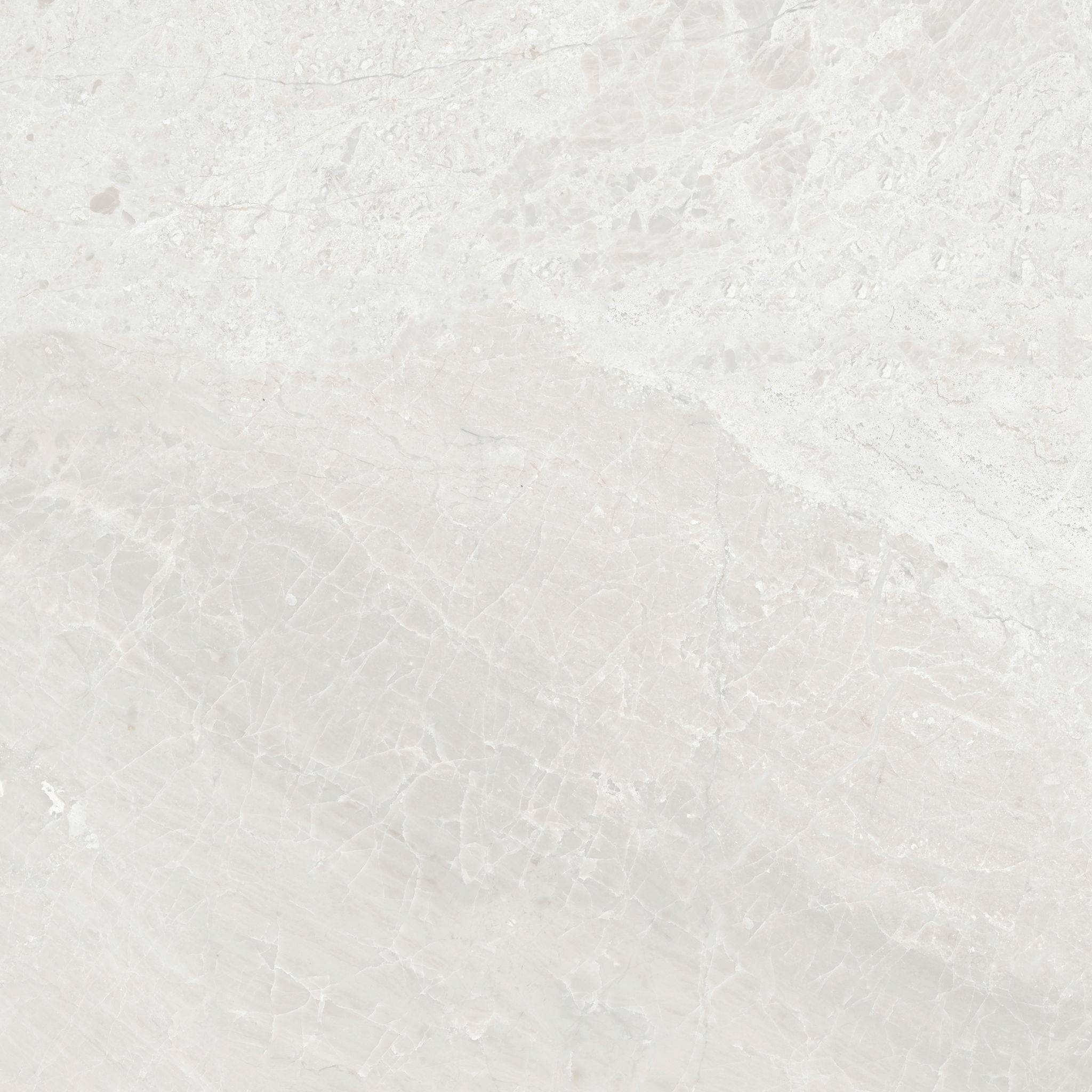 Florence 13X13F Ivory Matte | Qualis Ceramica | Luxury Tile and Vinyl at affordable prices