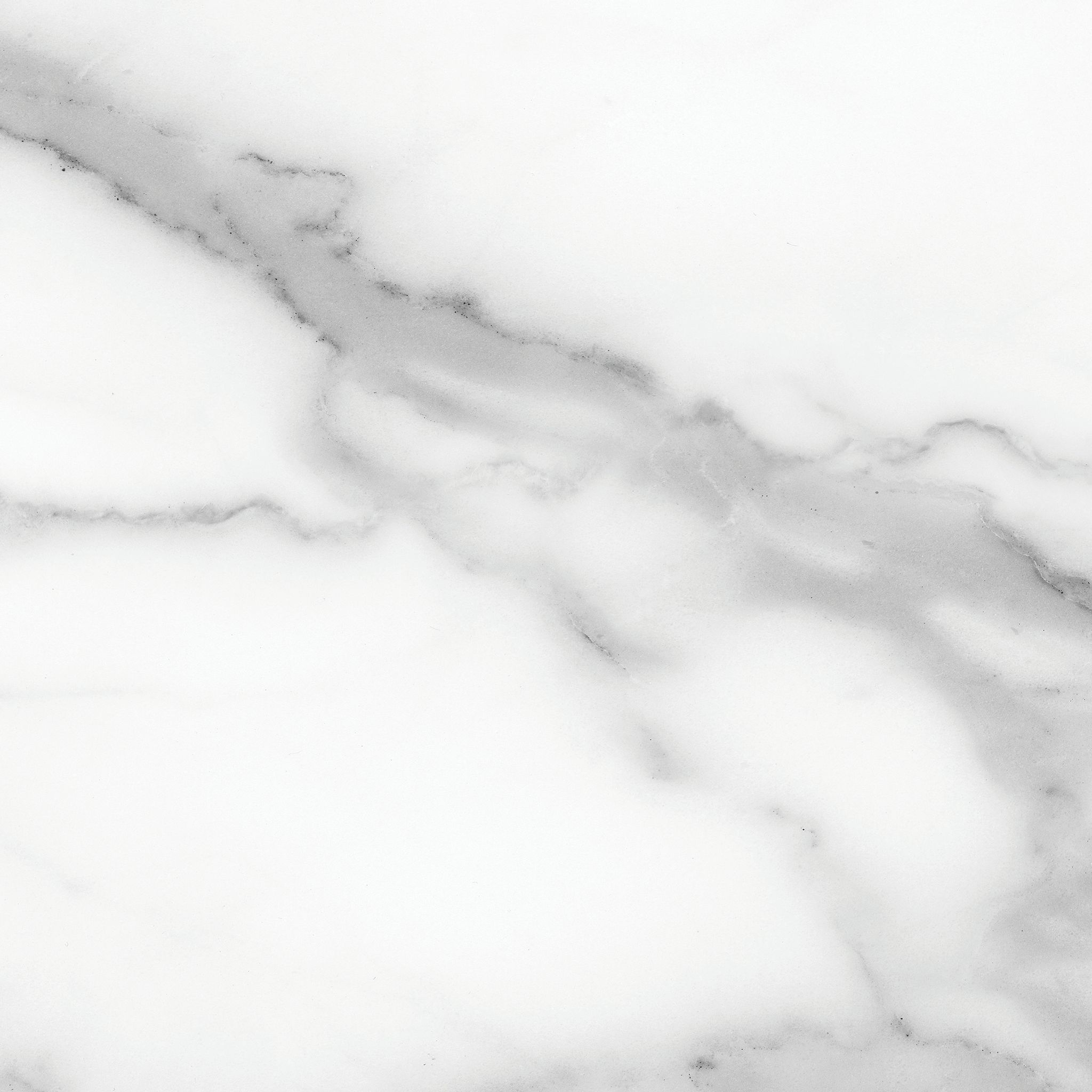 Florence 13X13F Statuario Matte | Qualis Ceramica | Luxury Tile and Vinyl at affordable prices