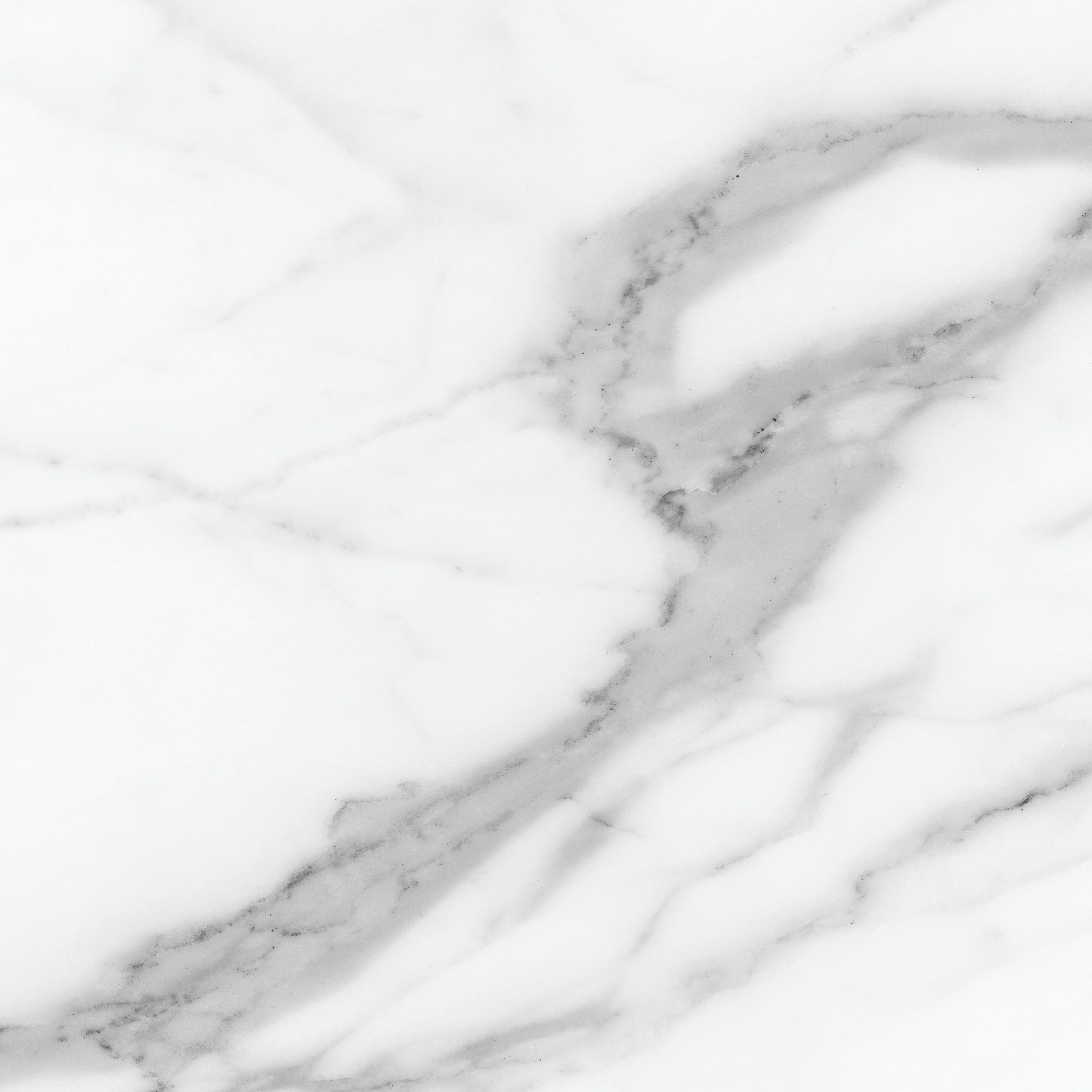 Florence 20X20F Statuario Matte | Qualis Ceramica | Luxury Tile and Vinyl at affordable prices