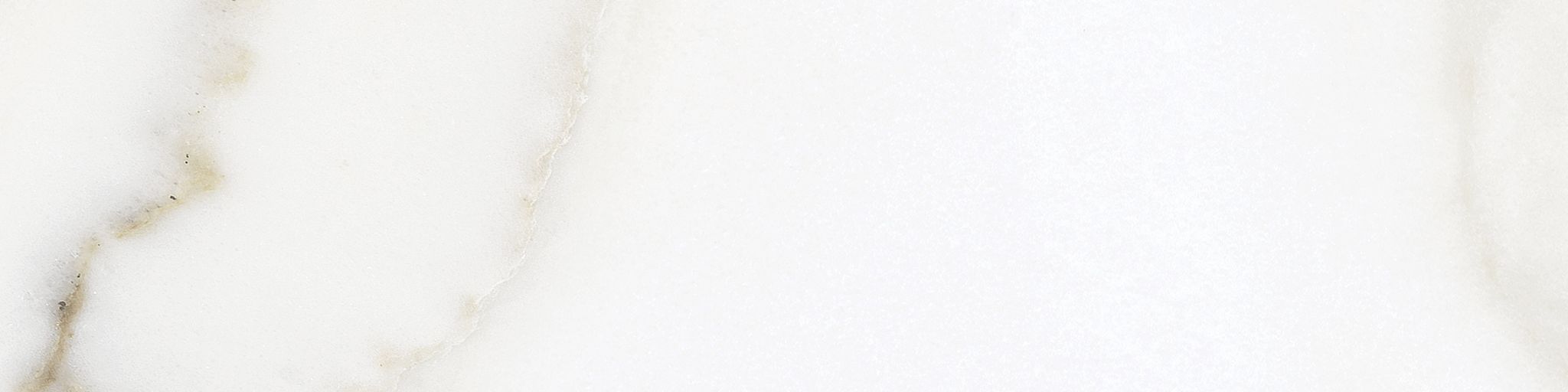 Florence 3x12 Calacatta Matte Bullnose | Qualis Ceramica | Luxury Tile and Vinyl at affordable prices
