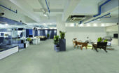 Madison 12X24F Stone Matte | Qualis Ceramica | Luxury Tile and Vinyl at affordable prices